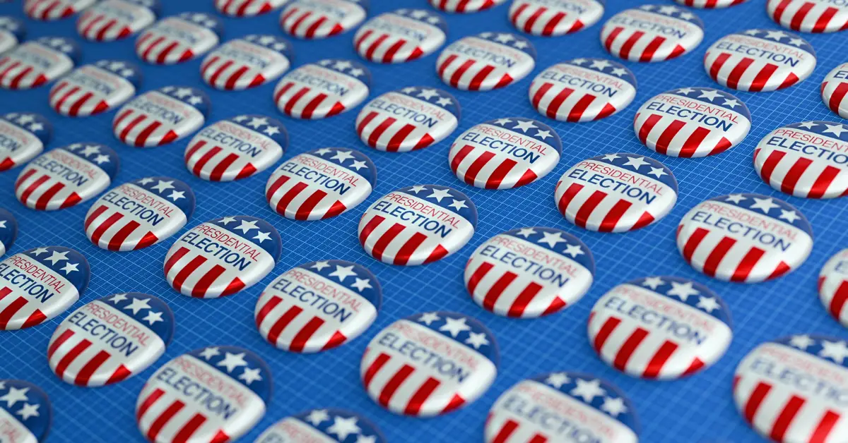 US Election Voting Pins - What are politics?