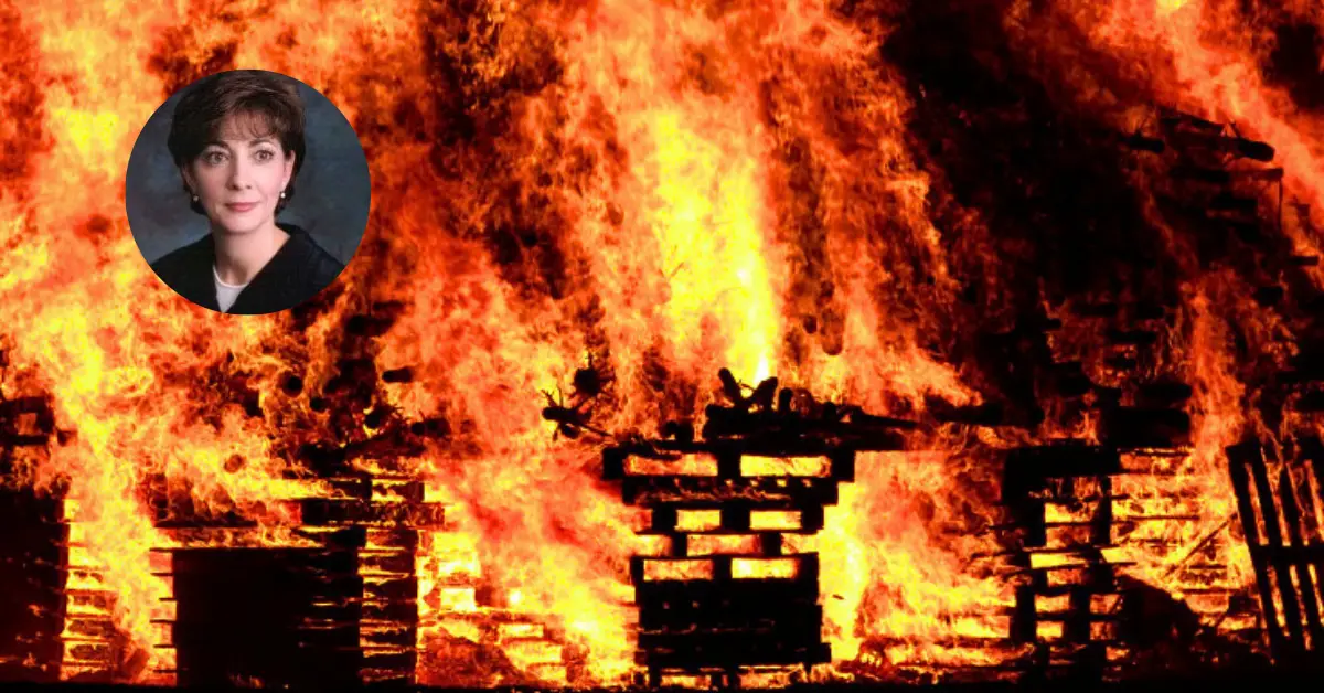 Judge Diane Goodstein House Fire