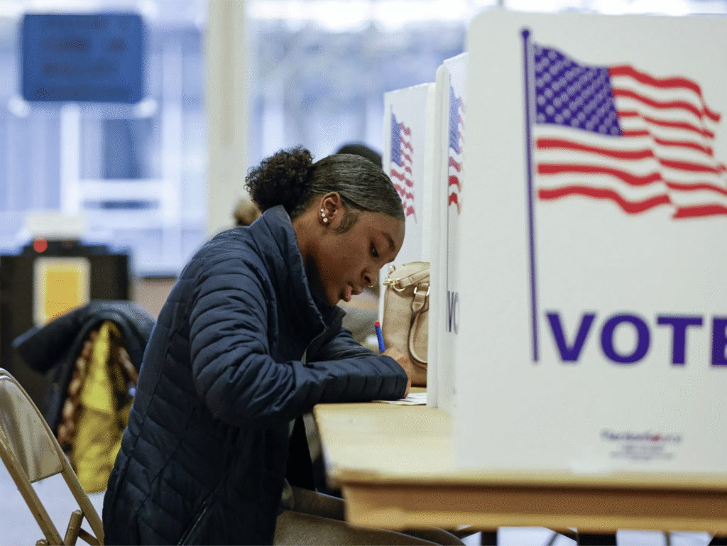 U.S. elections voting image
