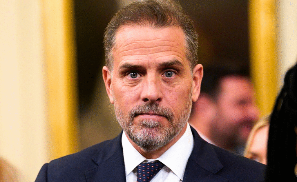 Hunter Biden's legal team throws him under the bus