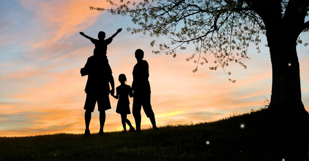 How to increase household income