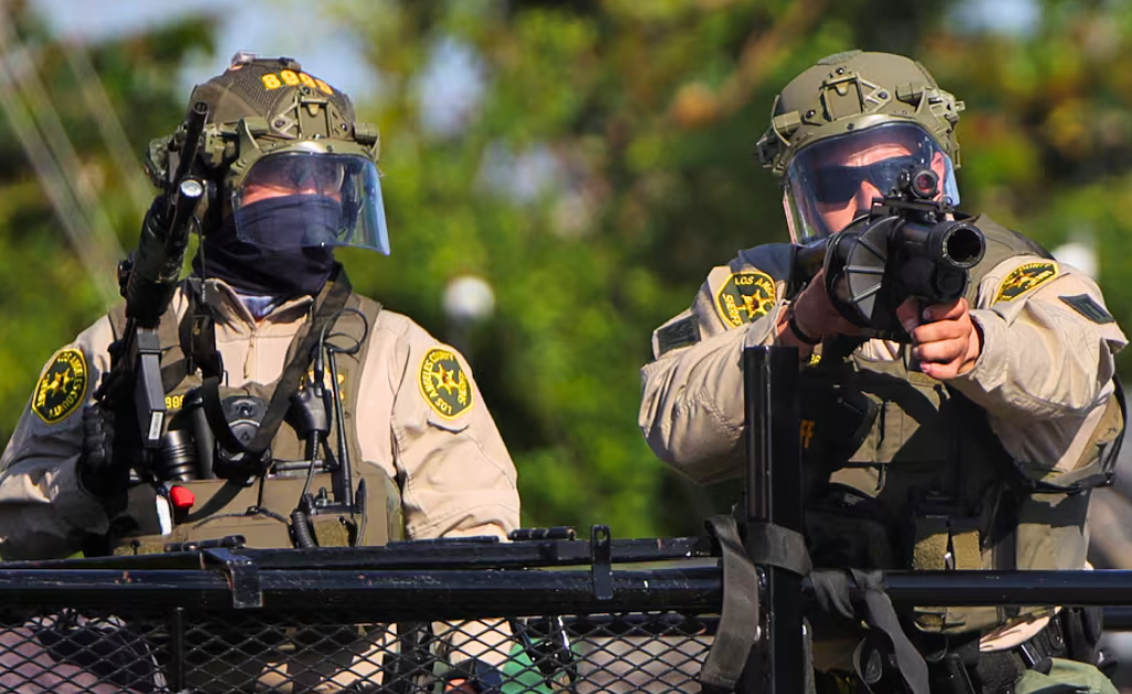 ICE Raids News - FrankNez Media