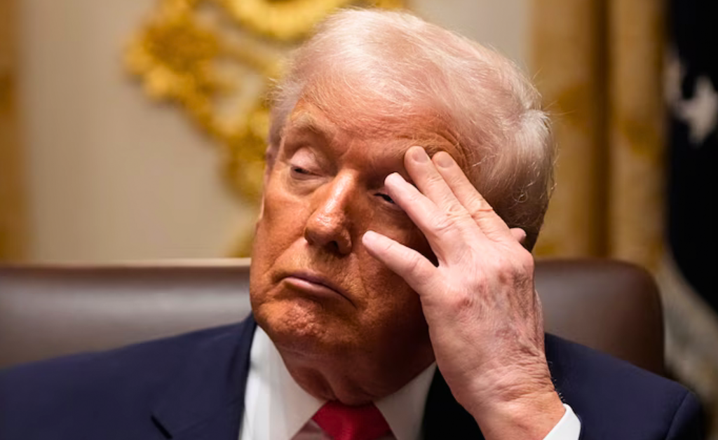 President Trump News